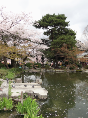 DSC05204.png
