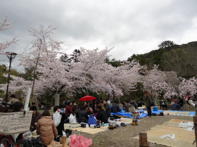 DSC05207.png