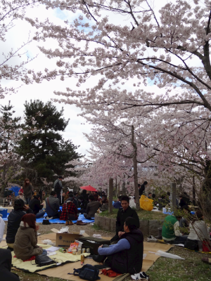 DSC05208.png