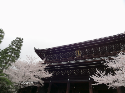 DSC05213.png