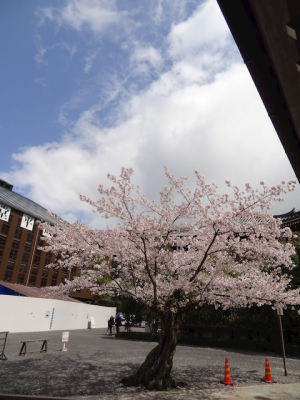 DSC05222.png