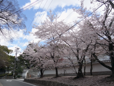 DSC05226.png