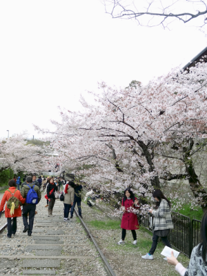 DSC05232.png
