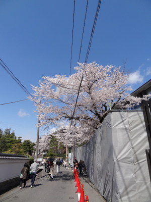 DSC05259.png