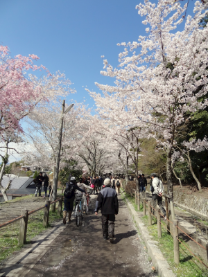 DSC05264.png