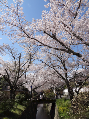 DSC05283.png