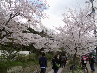 DSC05305.png