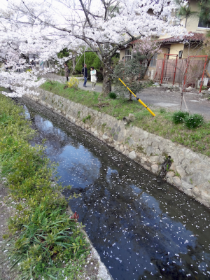 DSC05306.png
