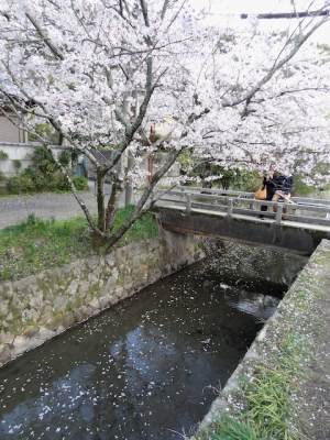 DSC05307.png