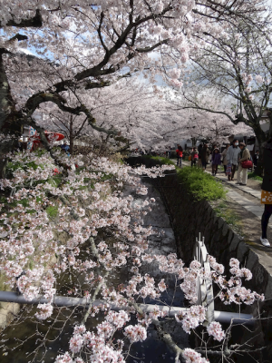 DSC05309.png