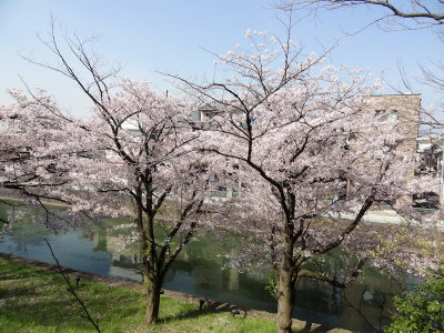 DSC05445.jpg