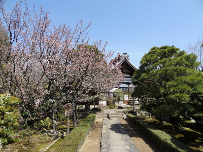DSC05450.jpg