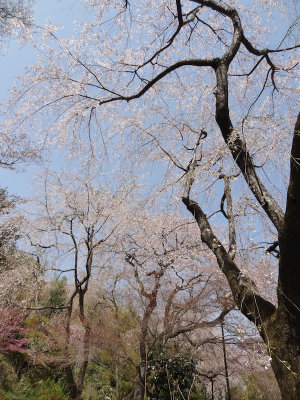 DSC05475.jpg