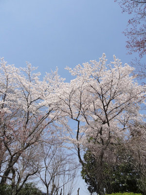 DSC05483.jpg