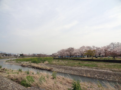 DSC05506.jpg