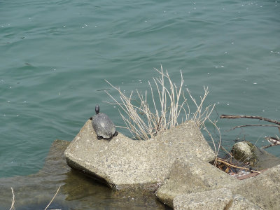 DSC05509.jpg