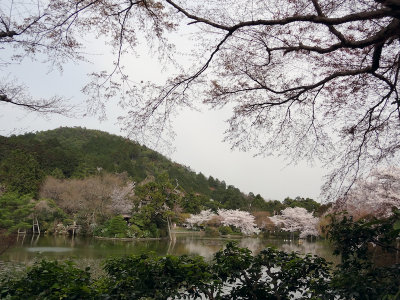 DSC05546.jpg