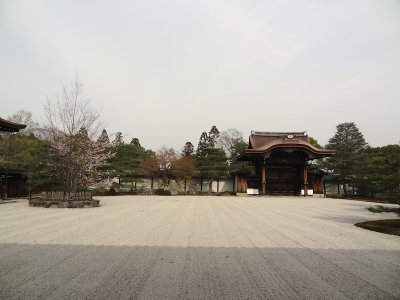 DSC05550.jpg