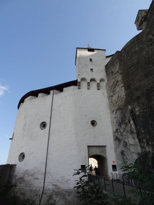 DSC05681.jpg