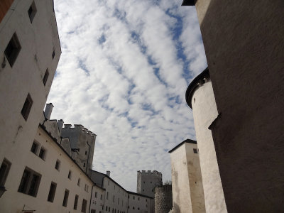 DSC05693.jpg