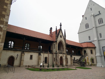 DSC06411.jpg