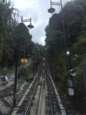 2015-07-11 11.34.49.jpg