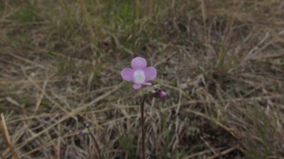 IMG_9128.JPG