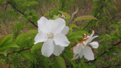IMG_9143.JPG