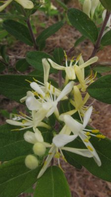 IMG_9148.JPG