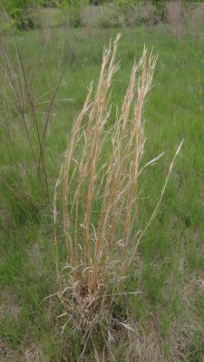 IMG_9159.JPG