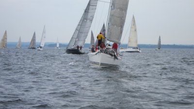 IMG_2019.JPG