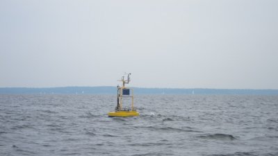 IMG_2080.JPG