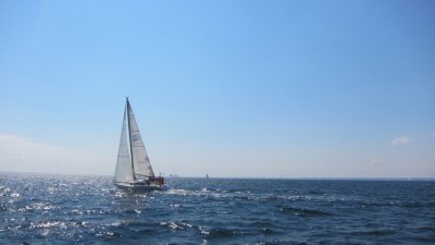IMG_2129.JPG