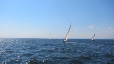 IMG_2133.JPG