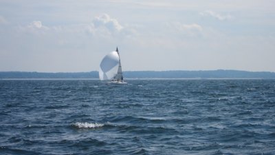 IMG_2135.JPG