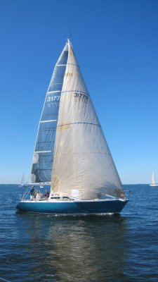 IMG_2176.JPG