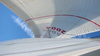 IMG_2217.JPG