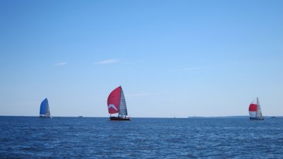 IMG_2225.JPG