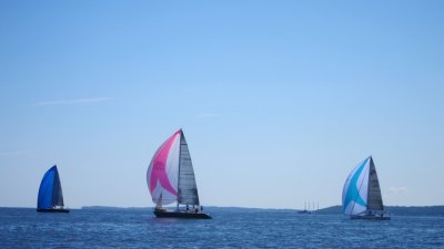 IMG_2227.JPG
