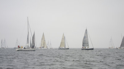 IMG_3323.jpg