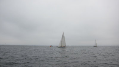 IMG_3329.jpg