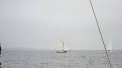 IMG_3334.jpg