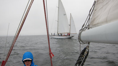 IMG_3335.jpg