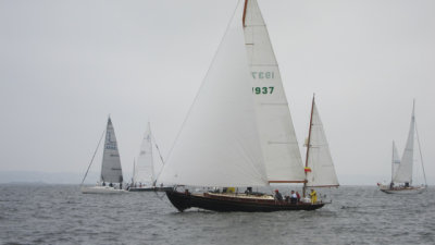 IMG_3339.jpg
