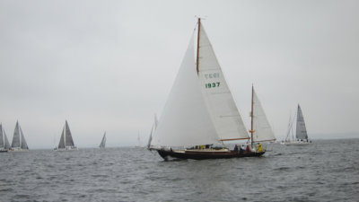 IMG_3340.jpg