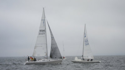IMG_3351.jpg