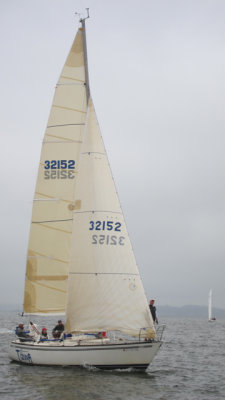 IMG_3353.jpg