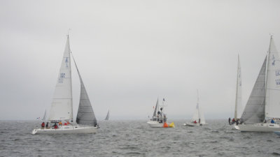 IMG_3358.jpg