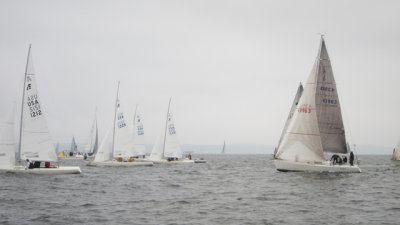 IMG_3365.jpg
