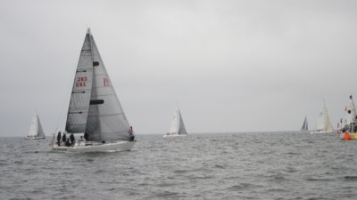 IMG_3369.jpg